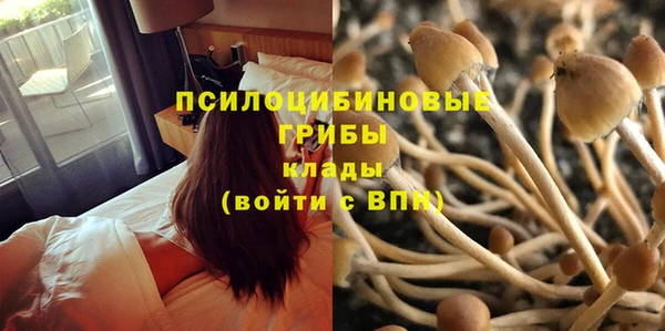 MESCALINE Верея