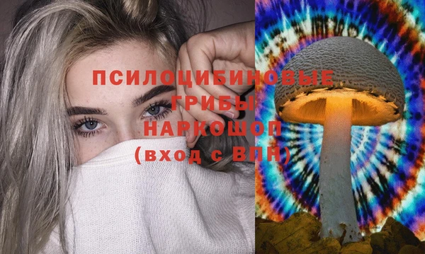 трава Верхнеуральск