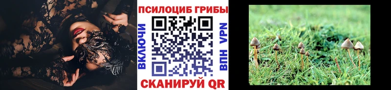 Галлюциногенные грибы мухоморы  сколько стоит  Карасук 